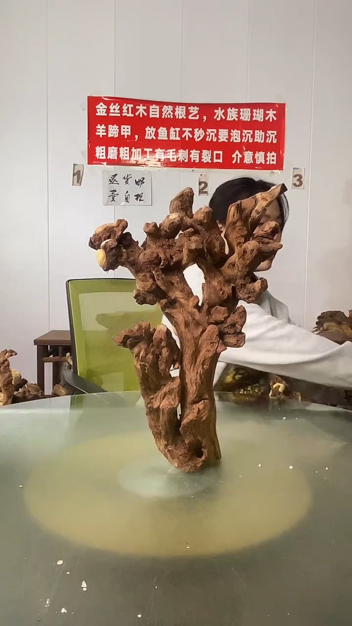 木往****7金丝红木  羊蹄甲