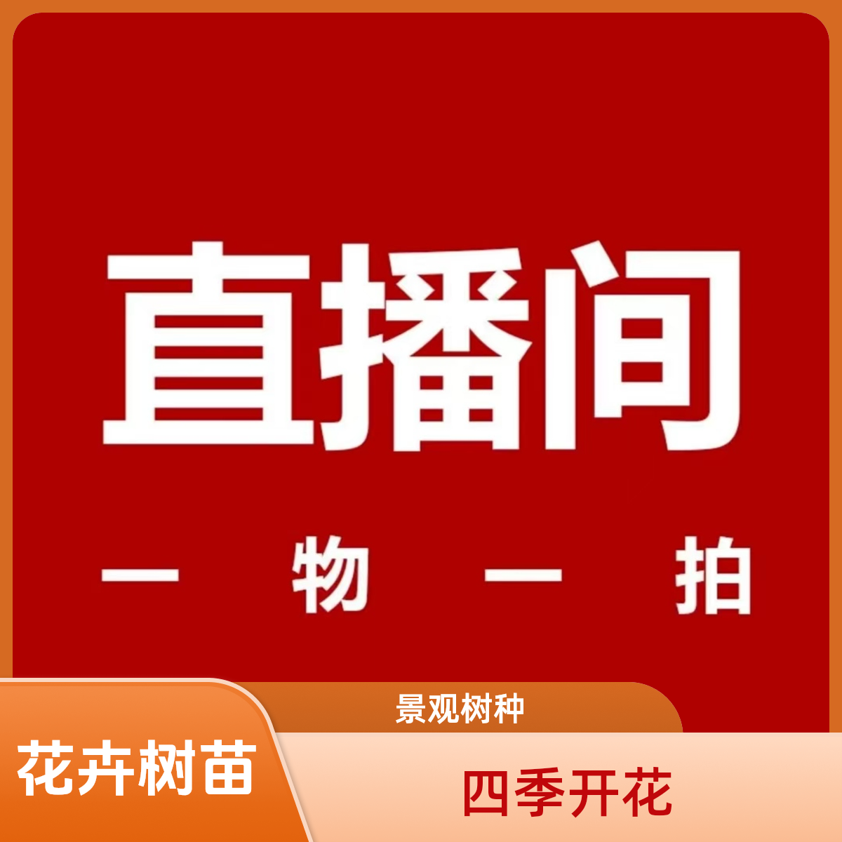 玉兰花樱花海棠红枫紫薇紫荆红枫红梅丁香花三季开花树苗腊梅果树
