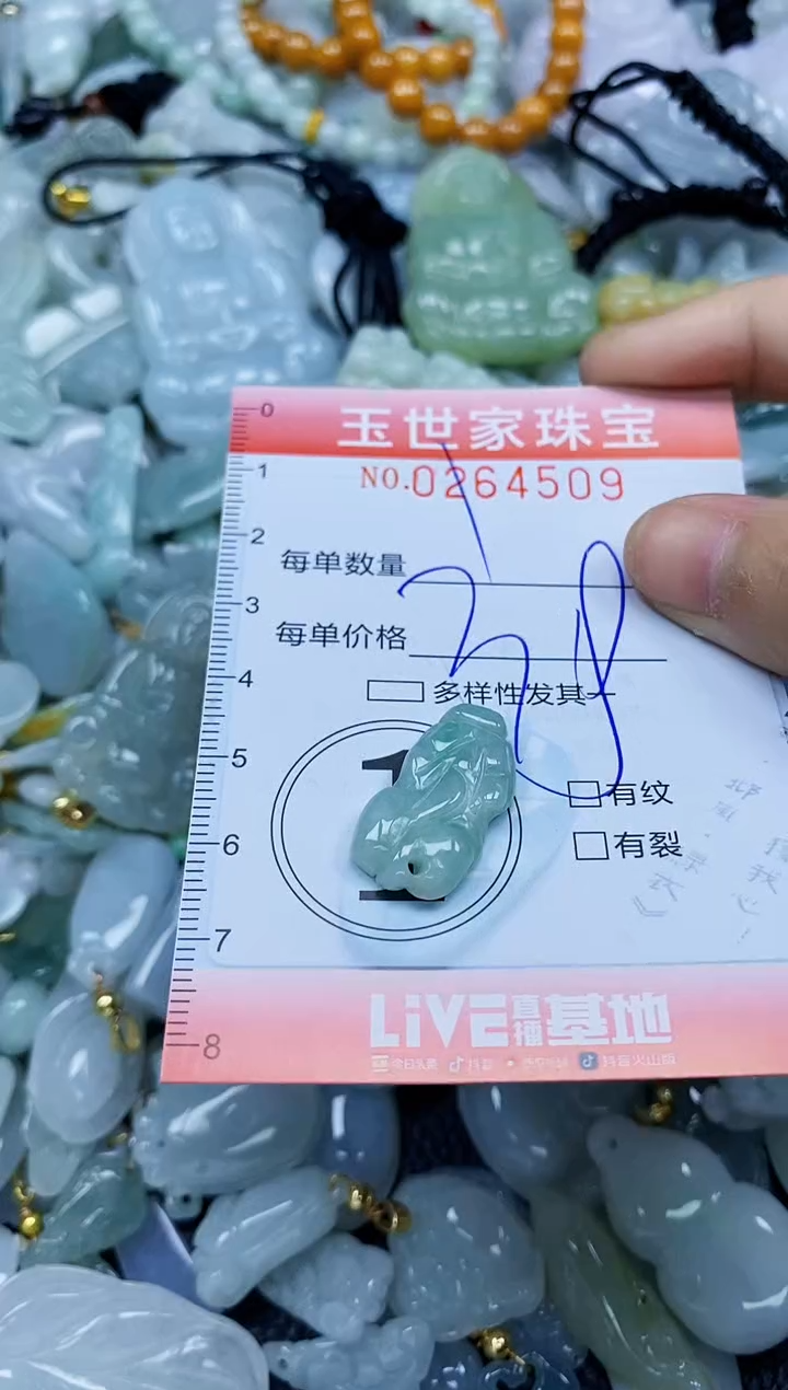 翡翠未镶嵌颈饰闪购0264509