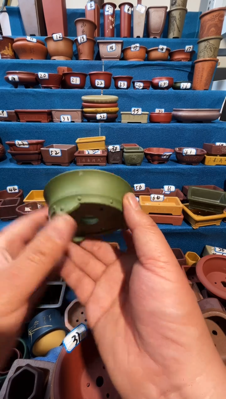 【闪购商品】紫砂紫砂花盆6.5*2