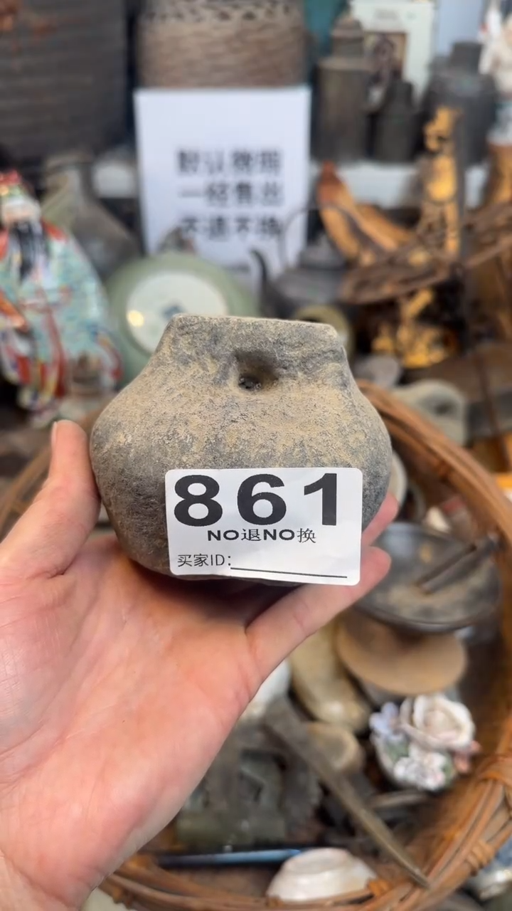 南**逸11111111111111