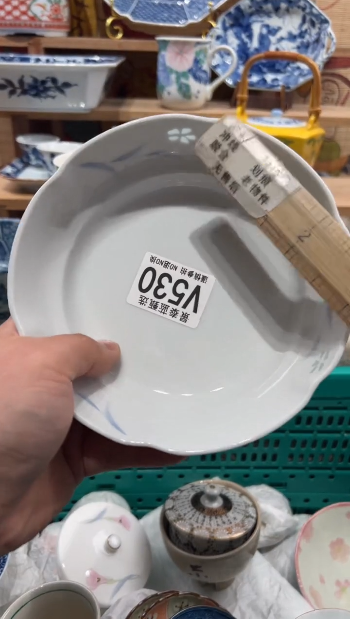 瓷片二*瓷片-------V530