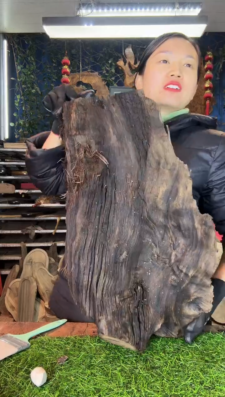 金丝楠小叶桢楠66