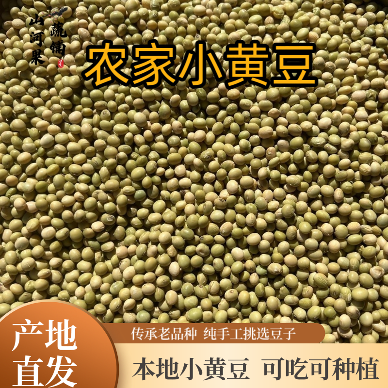 贵州农家小黄豆土黄豆老品种大豆粗粮打豆浆发豆芽农家自种可留种