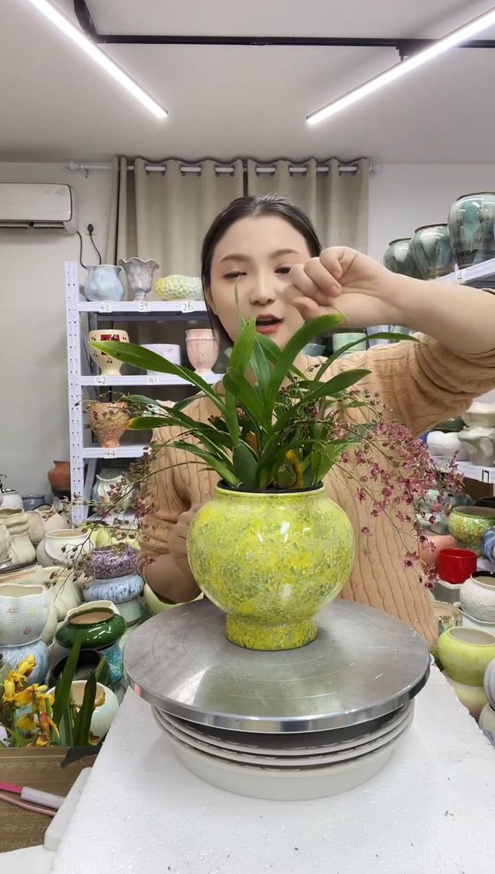 【12.31】花盆链接高： 14 口：12