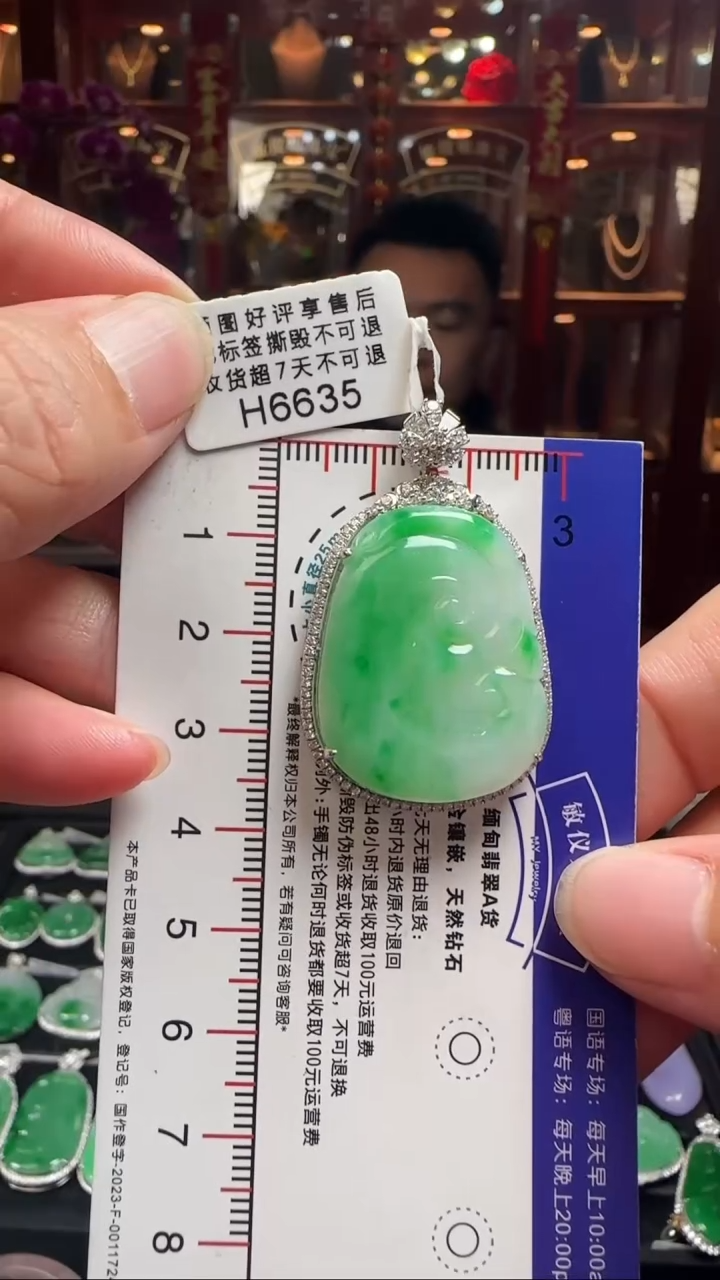 【闪购商品】翡翠颈饰18K金镶嵌H6635如意