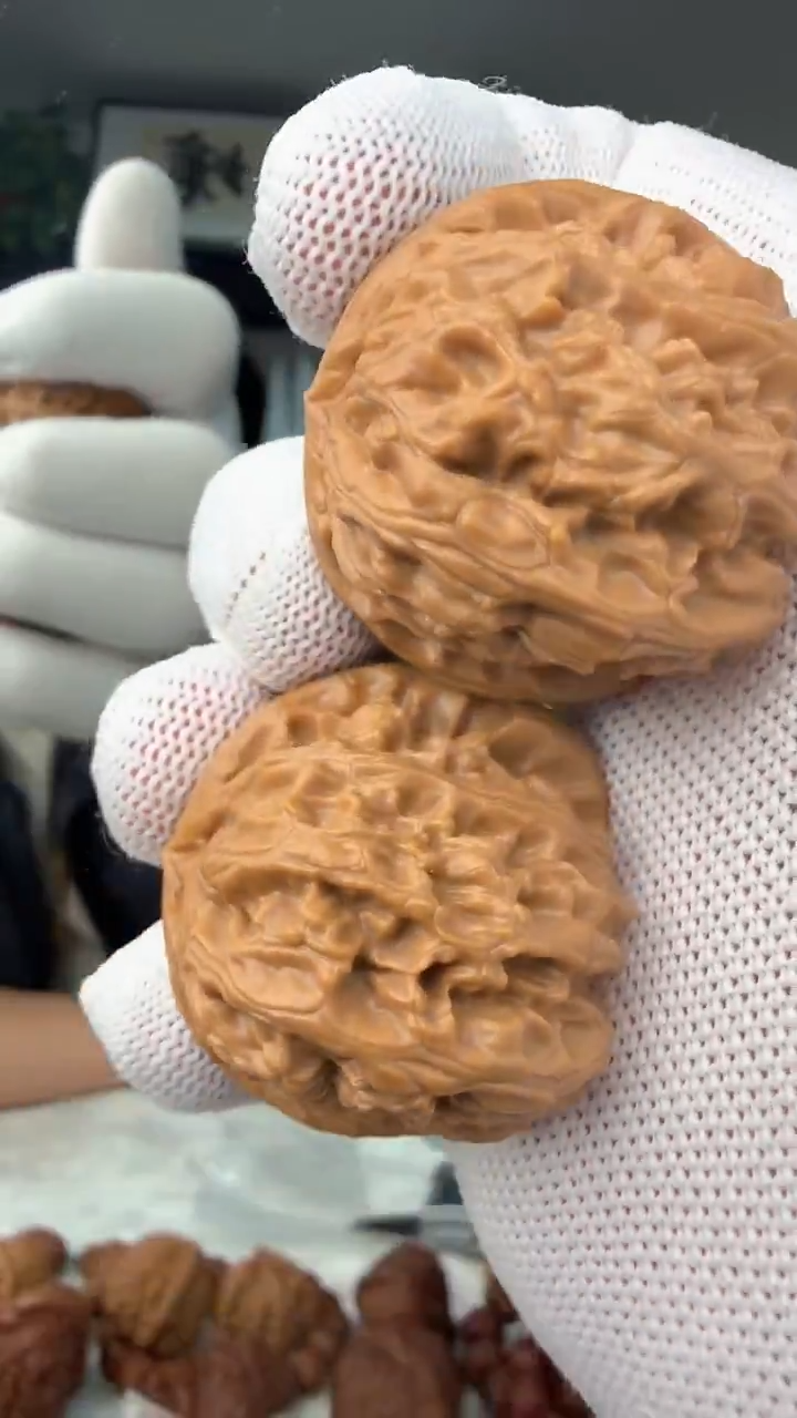 把件龙脊菩提012狮子头