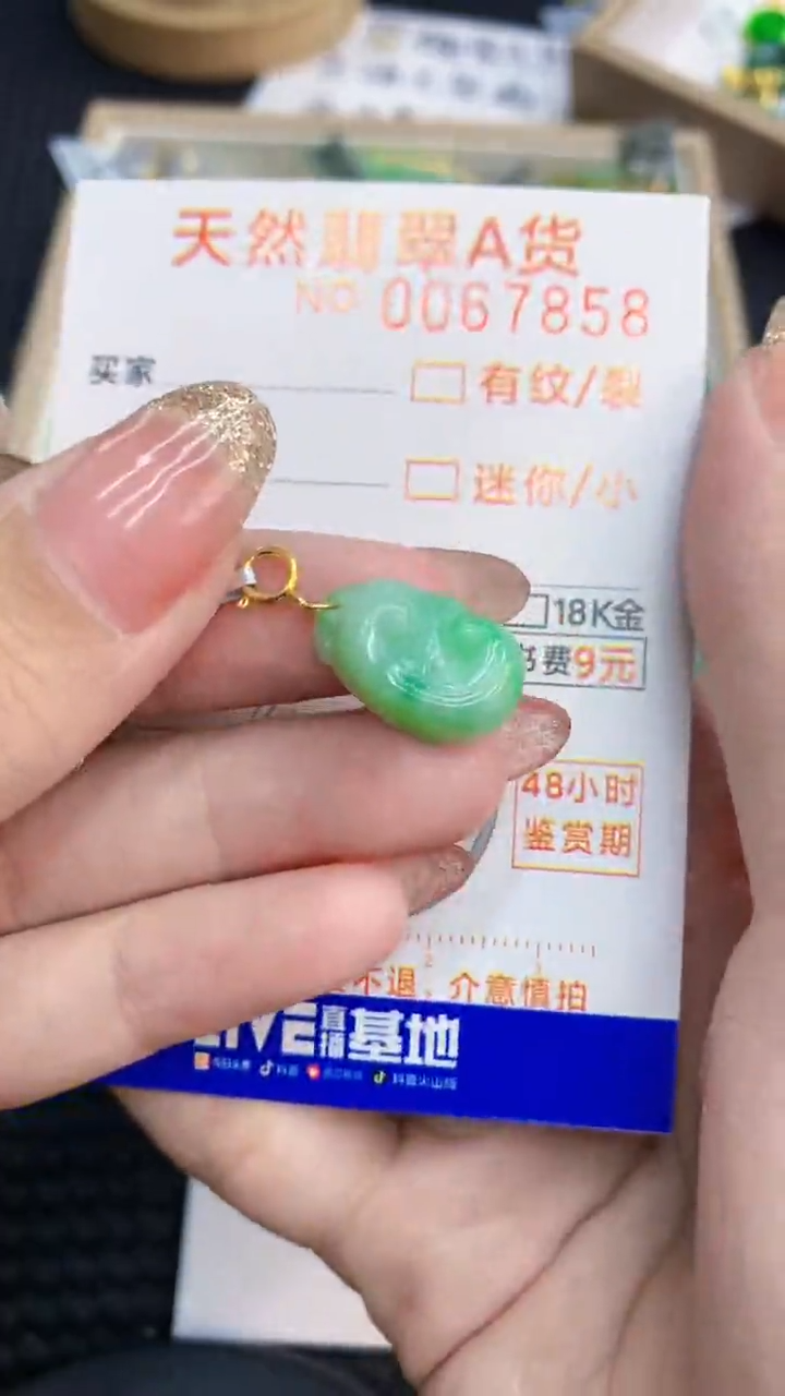 翡翠银S925镶嵌颈饰            8