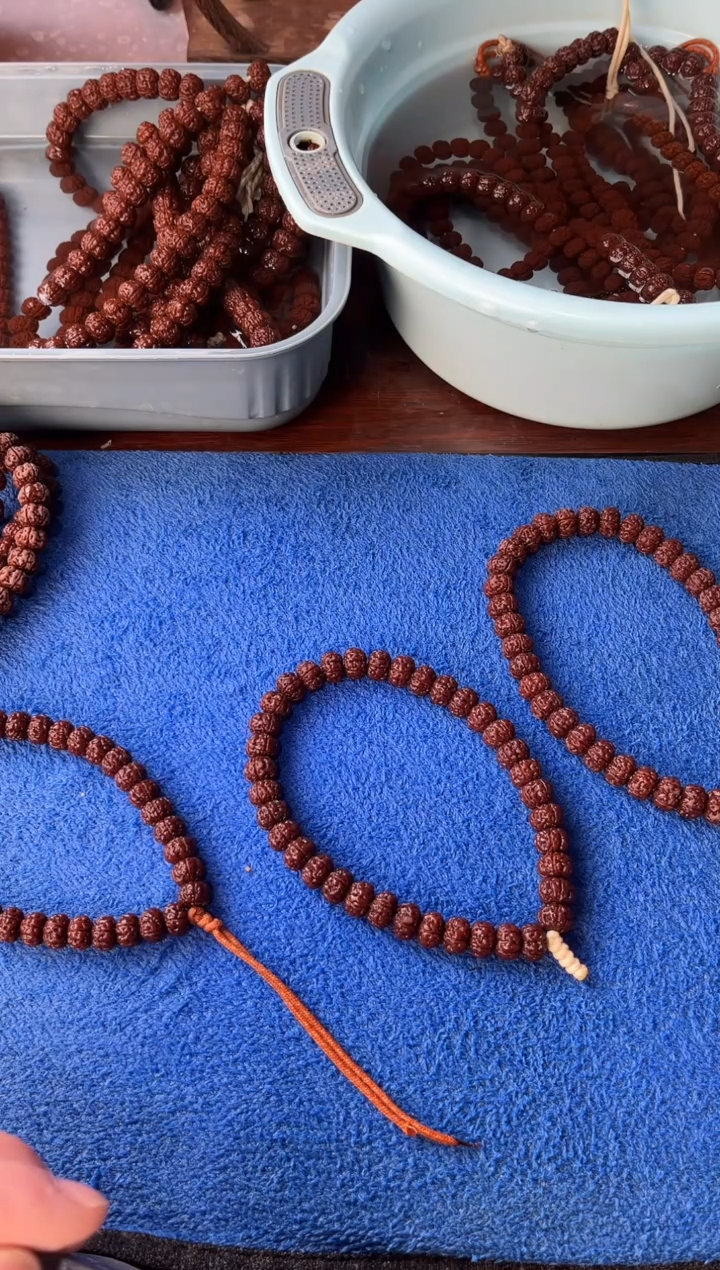 手串金刚菩提小**哼10+老树王