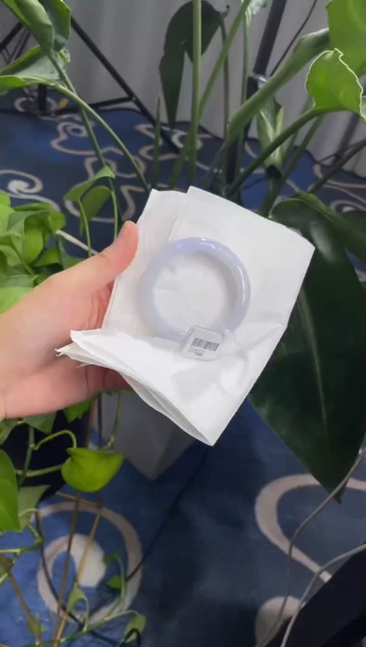 未镶嵌手镯翡翠7251****