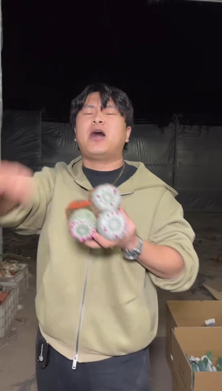 5颗 单头 玉翁【带雪顶】4-6cm