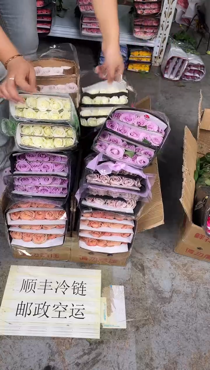 卡布20枝+海洋之歌20枝+曼塔20枝+骄傲20枝