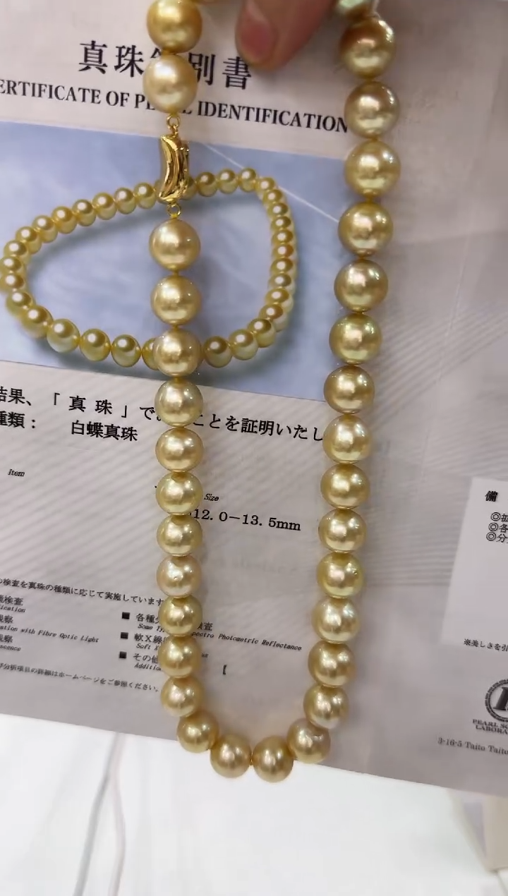 【闪购商品】海水珍珠NN未镶嵌珍珠串链带大证@@E341