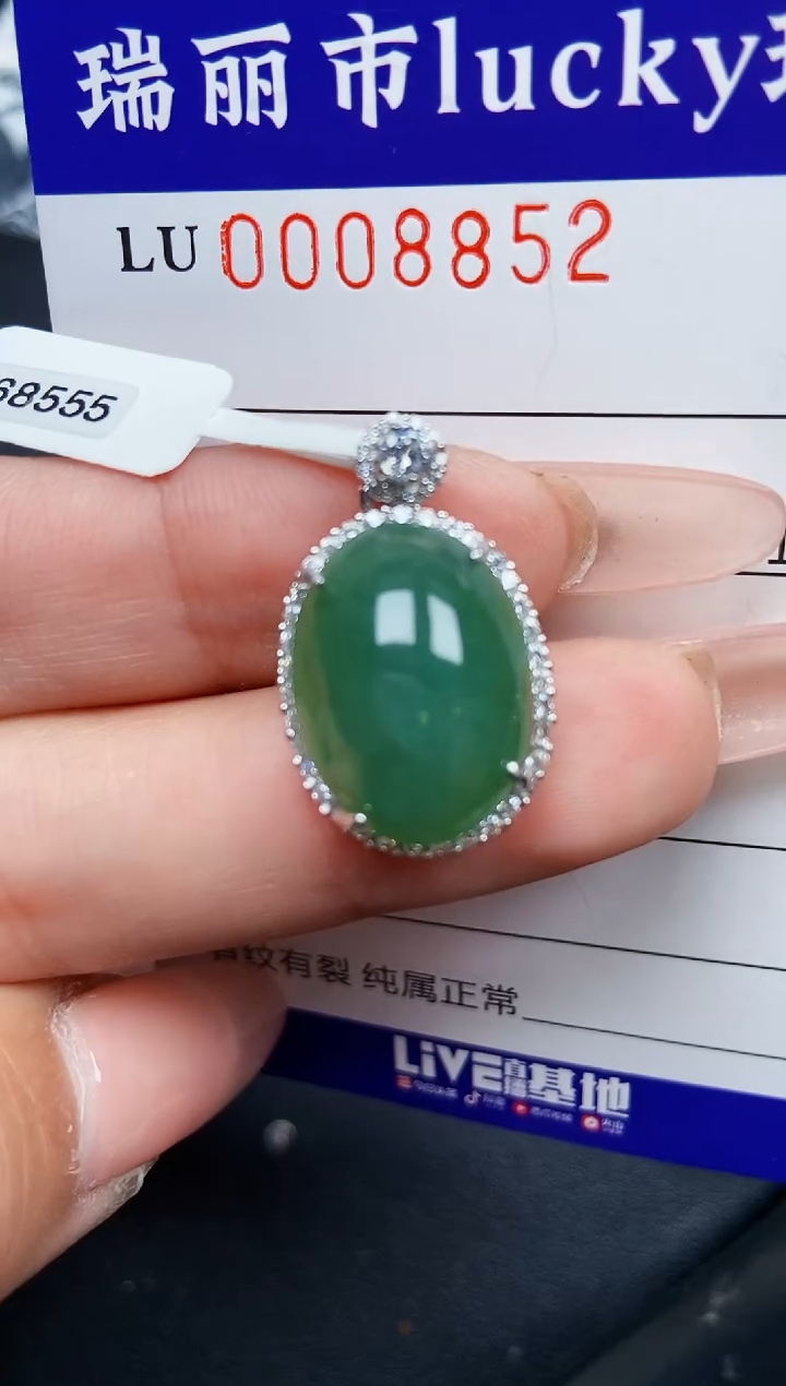 【闪购商品】翡翠颈饰银S925镶嵌8852