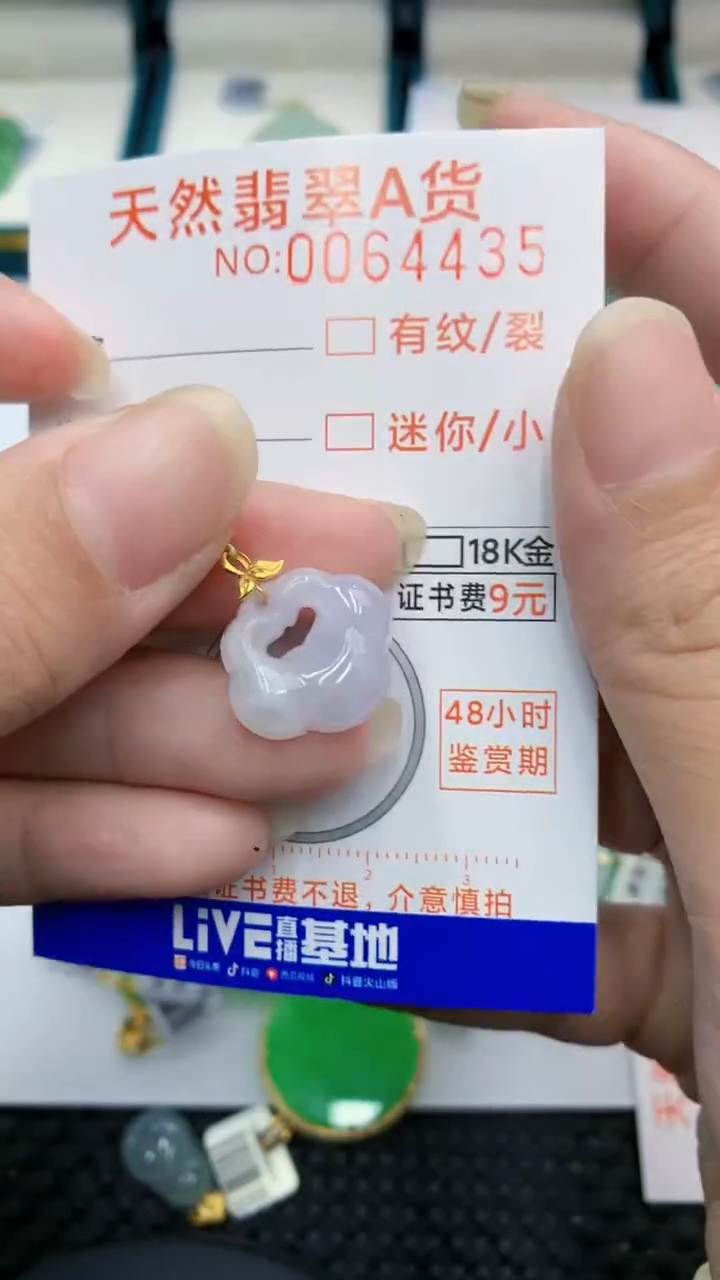 【闪购商品】翡翠颈饰18K金镶嵌            8