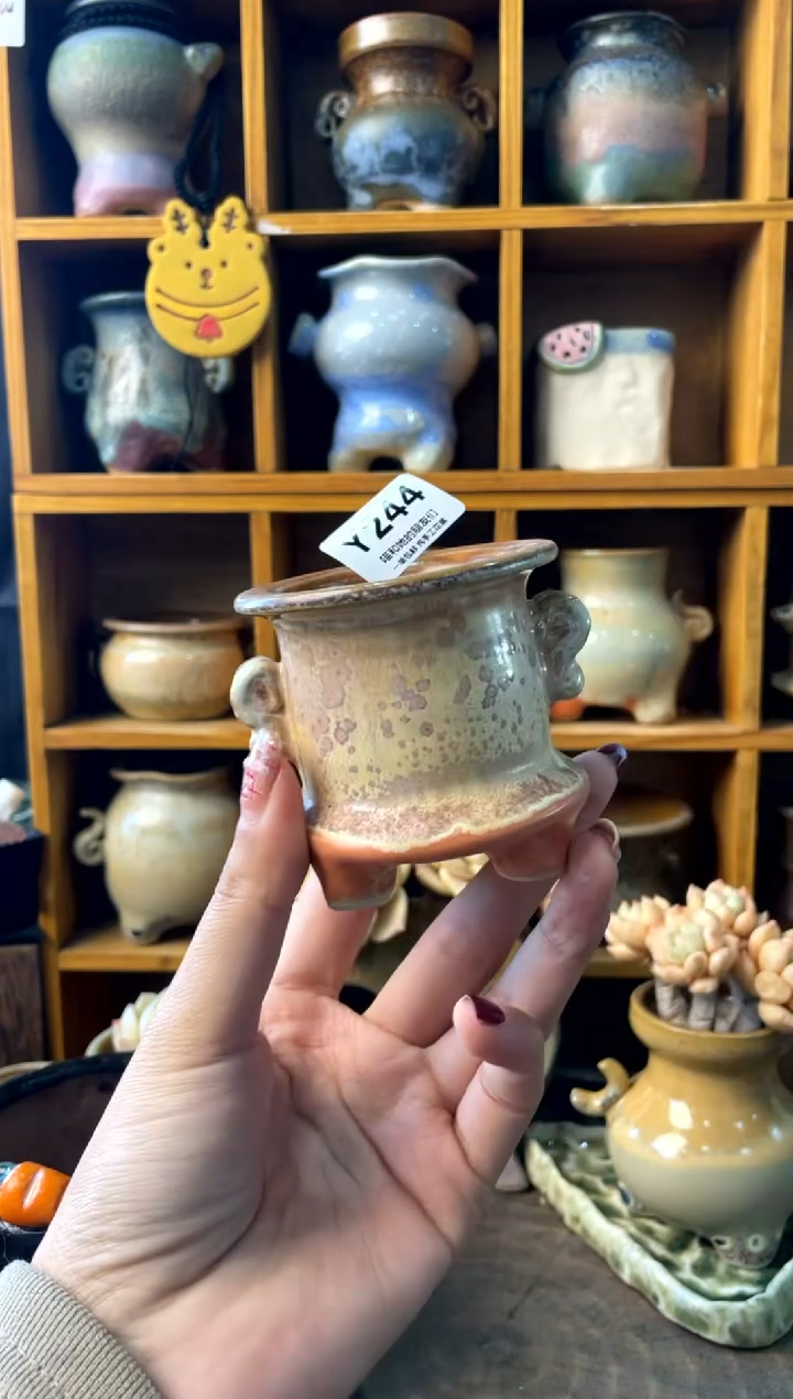 244内口4.5【多肉花盆多肉盆】