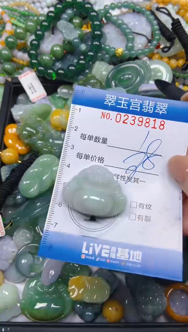 颈饰未镶嵌翡翠闪购C0239818