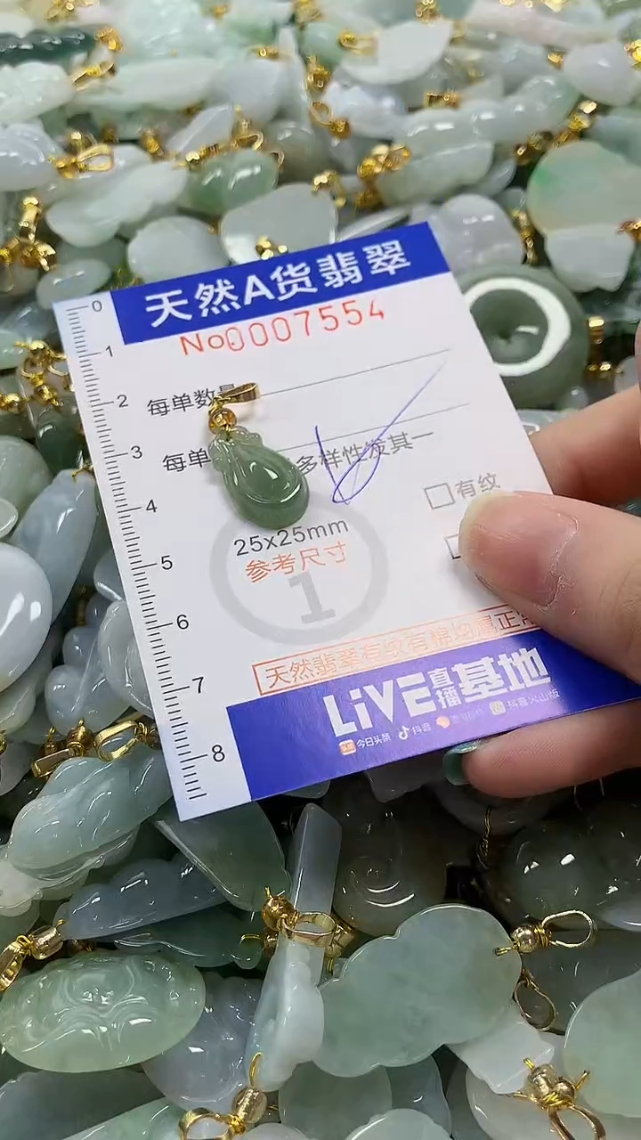 颈饰未镶嵌翡翠纯天然a货翡翠