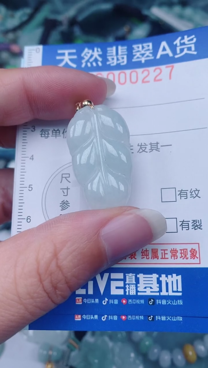 颈饰未镶嵌翡翠00000227