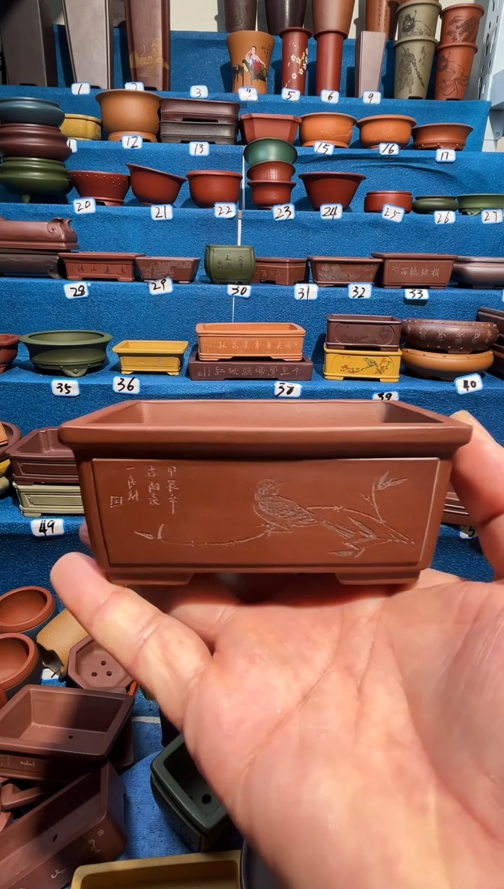 【闪购商品】紫砂紫砂花盆10*7*4