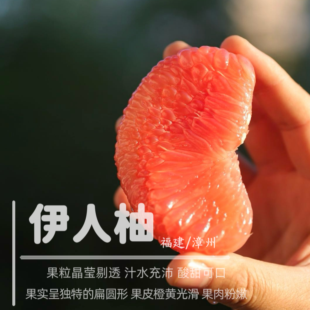 【顺丰包邮】福建伊人柚粉嫩多汁酸甜可口柚香浓郁新鲜时令水果