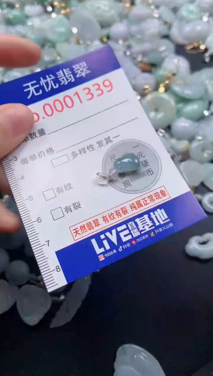 颈饰未镶嵌翡翠1339