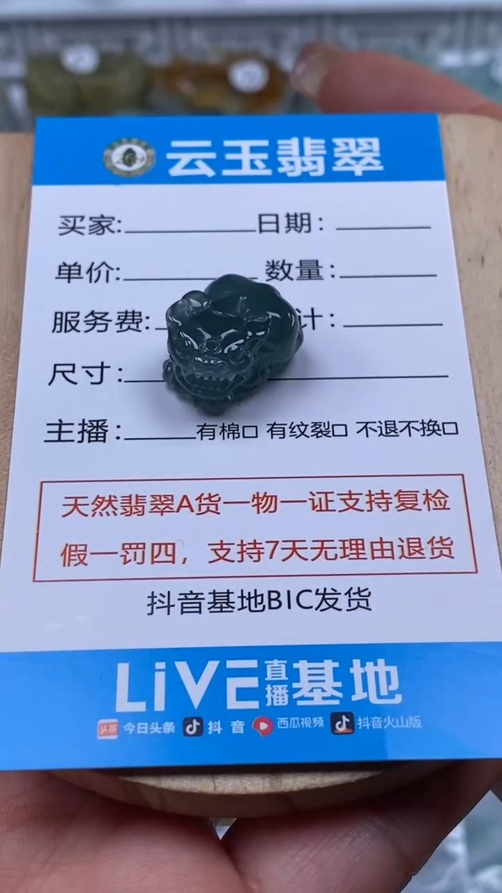 颈饰未镶嵌翡翠瑾**华貔貅