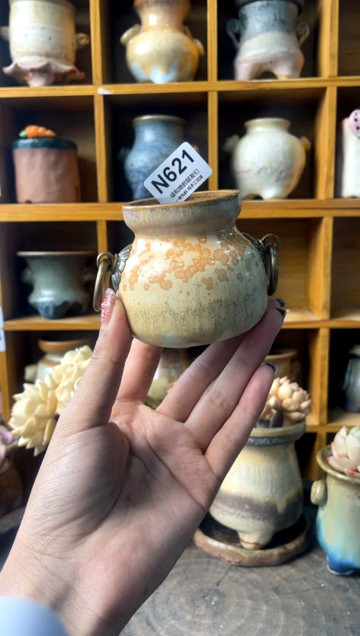 夏*之621【多肉花盆多肉盆】