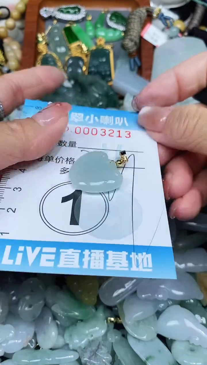 【闪购商品】翡翠颈饰未镶嵌闪购0003213