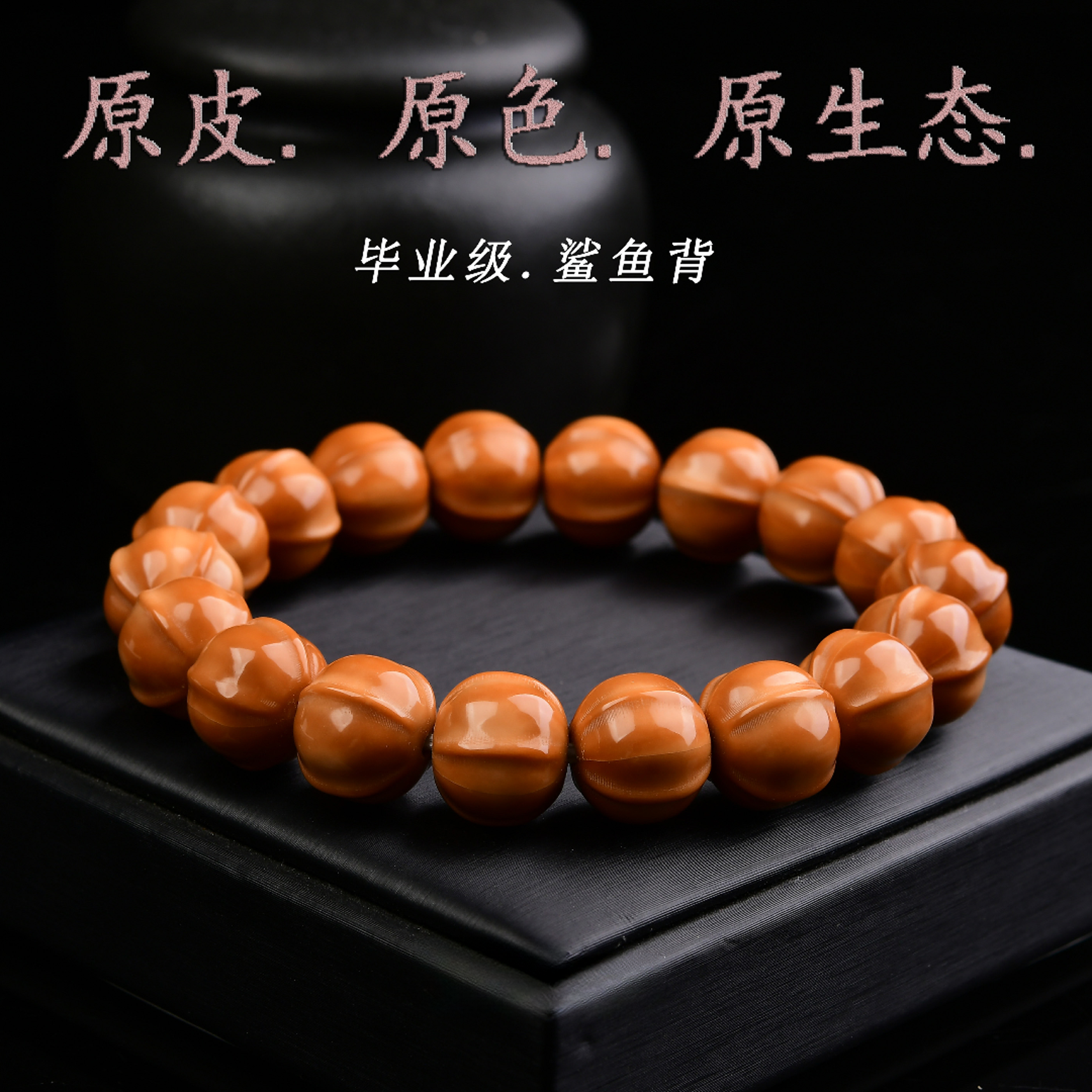 猴头全品四花鲨鱼背