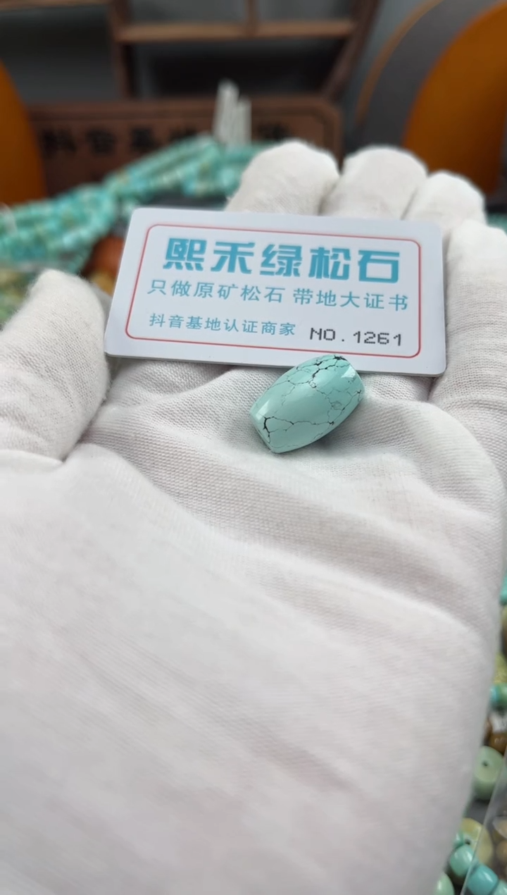 绿松石未镶嵌松石1261