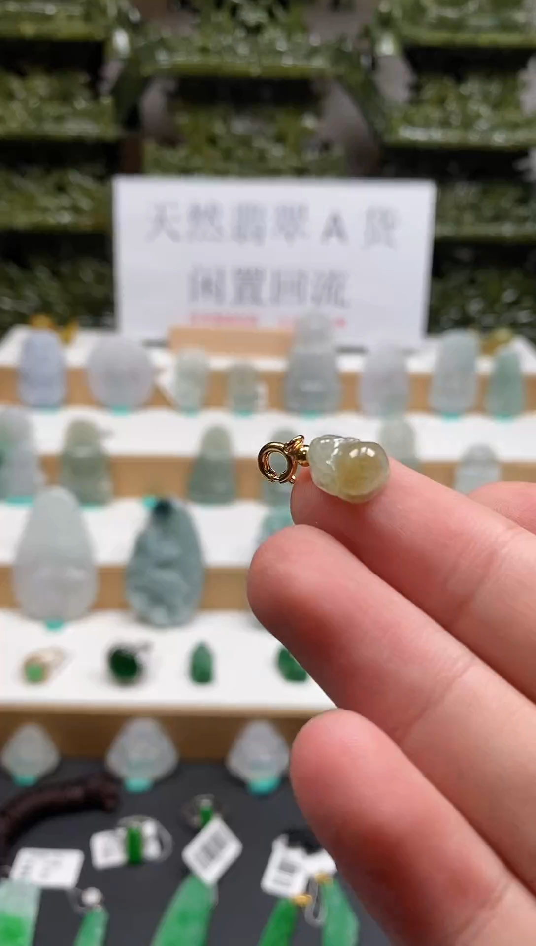 【闪购商品】翡翠颈饰未镶嵌38貔貅