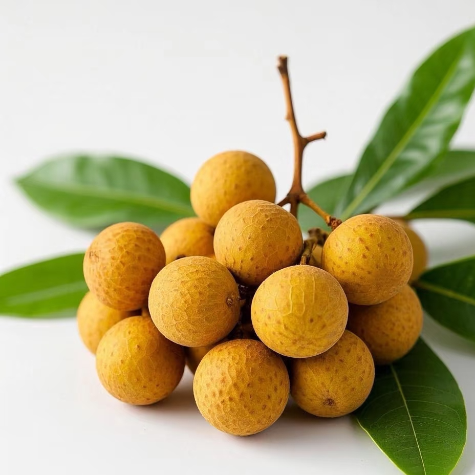 新鲜桂圆龙眼热带水果