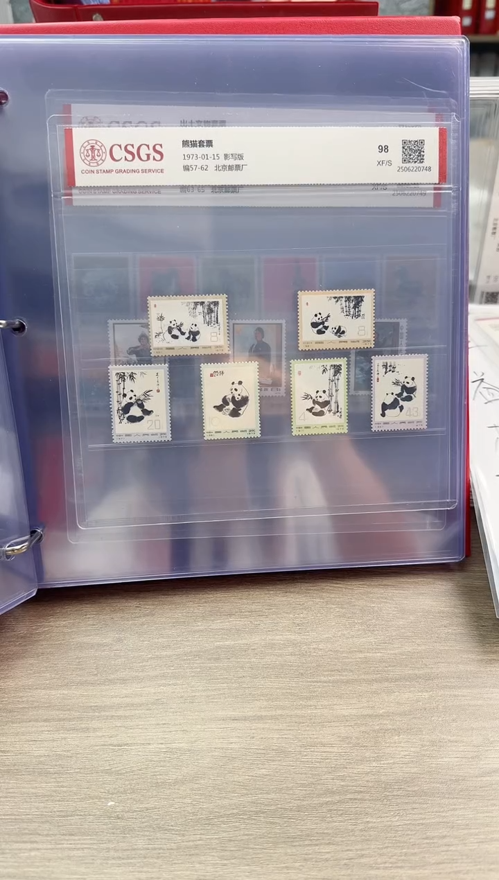 编号57-62    熊猫    