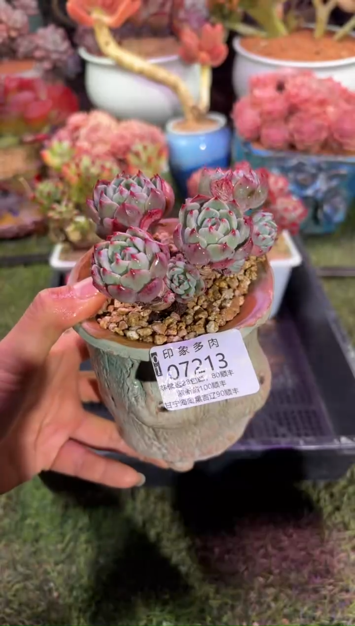 【闪购商品】07213