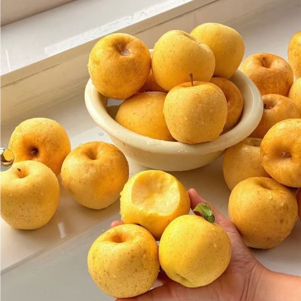 《农人老三》黄金维纳斯苹果 新鲜水果顺丰包邮g山东省