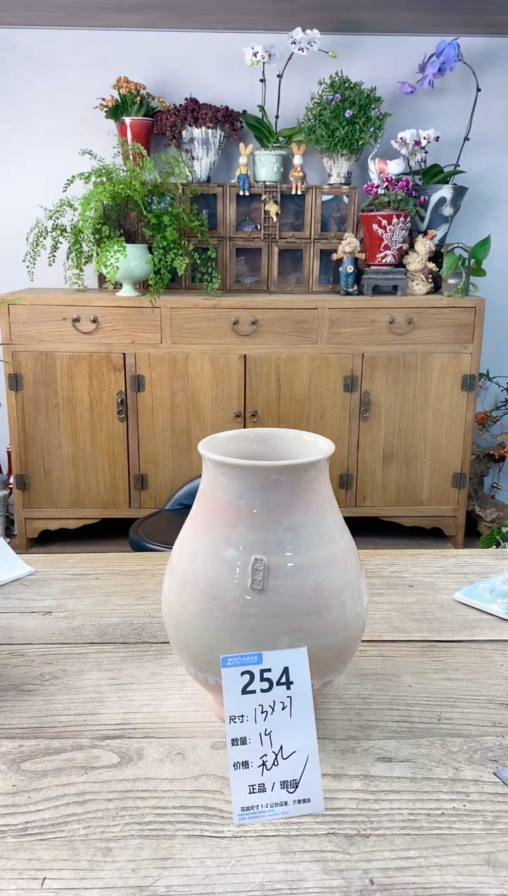 小玩子花盆直播编号254
