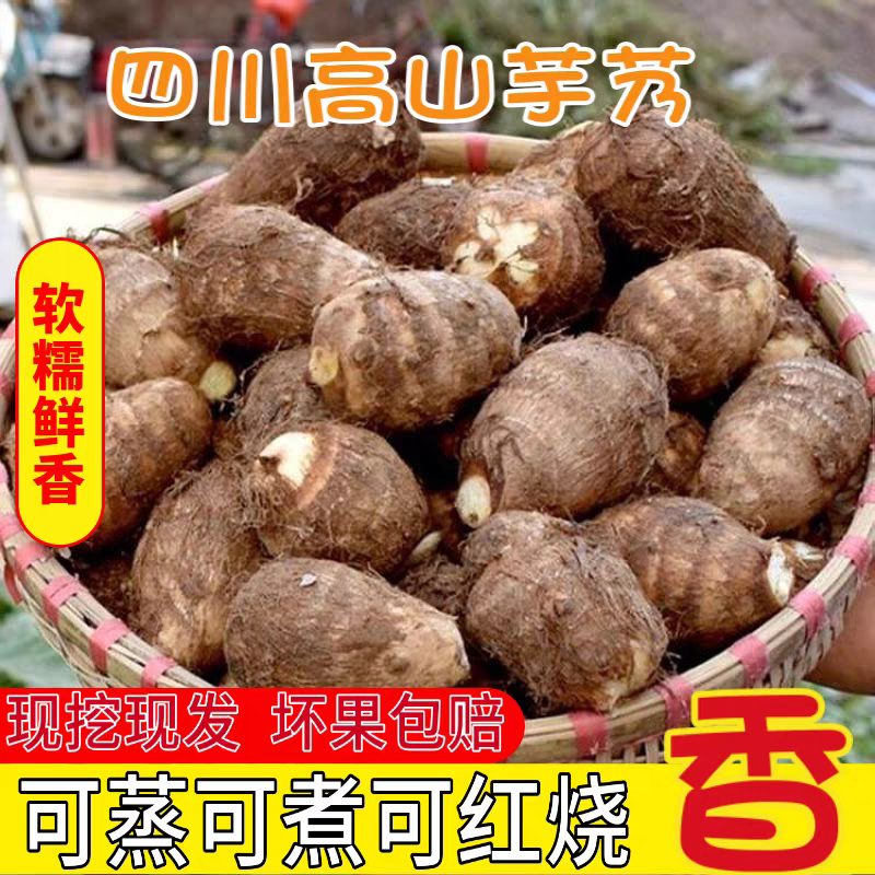 四川峨眉高山新鲜芋头芋艿仔毛芋儿香糯牛奶芋头香芋现挖带泥发货