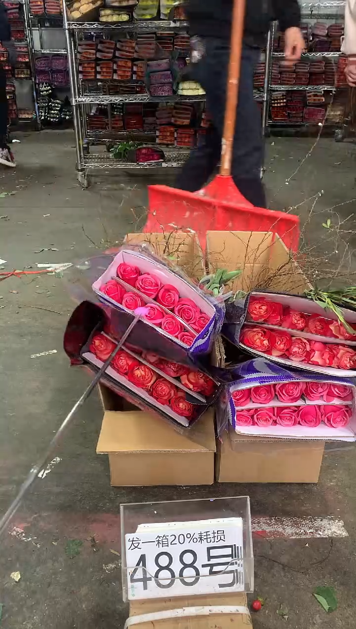 488号♥中通含20%耗损发一箱鲜花