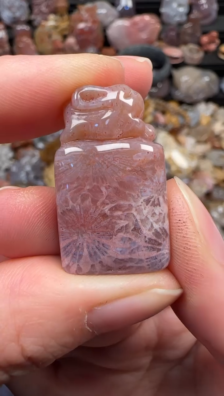 颈饰未镶嵌硅化珊瑚（珊瑚玉）132