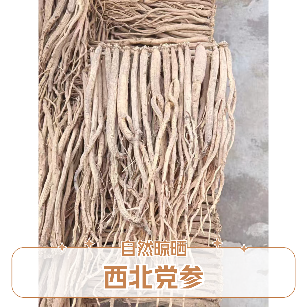 西北甘肃原产地党参九成干无硫自然晾晒可煲汤泡水滋补食材