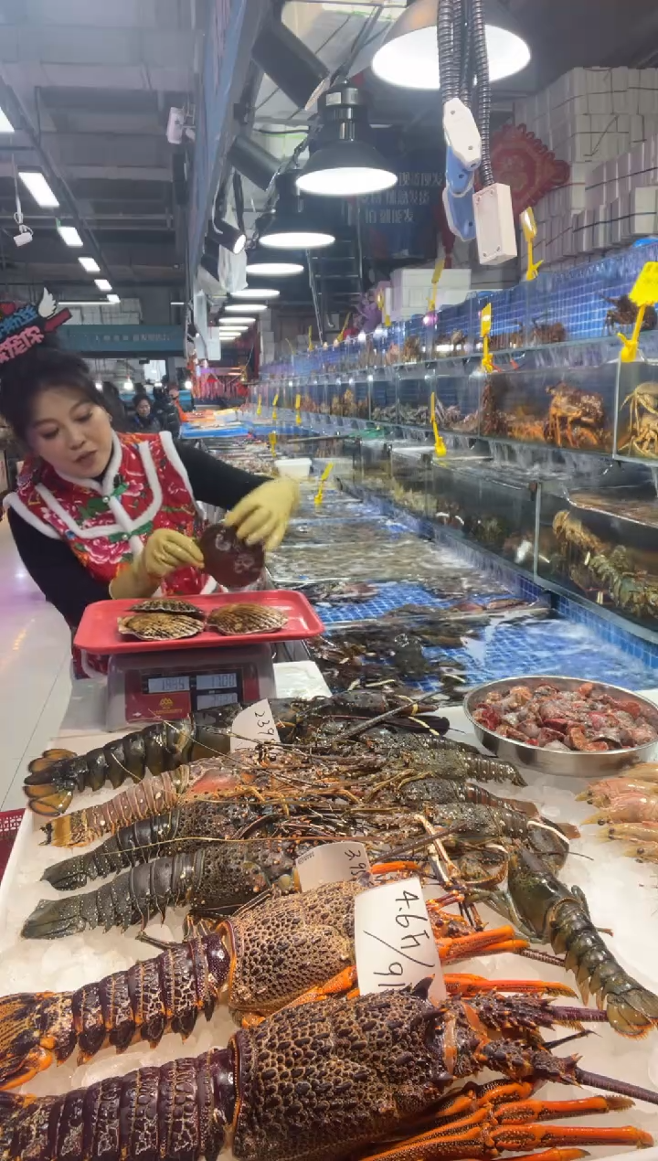 中国大陆4只大扇贝，3斤