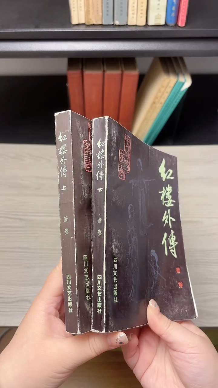 兮***?红楼外传上下