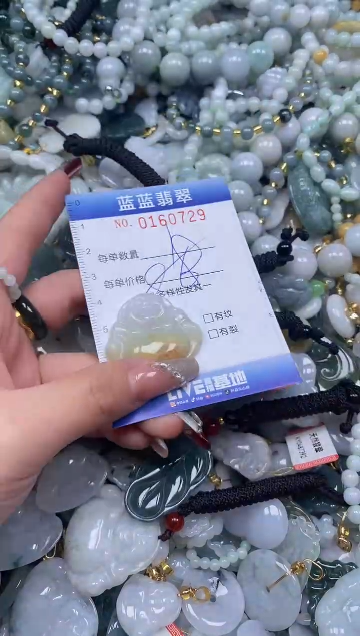 【闪购商品】翡翠颈饰未镶嵌闪购0160729多样性发其一