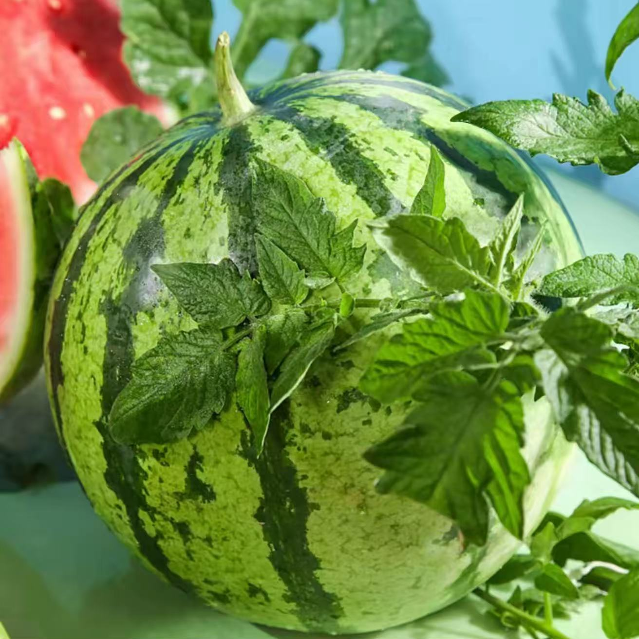 （坏果包赔）麒麟西瓜3-10斤应季薄皮西瓜爆甜新鲜水果云南省