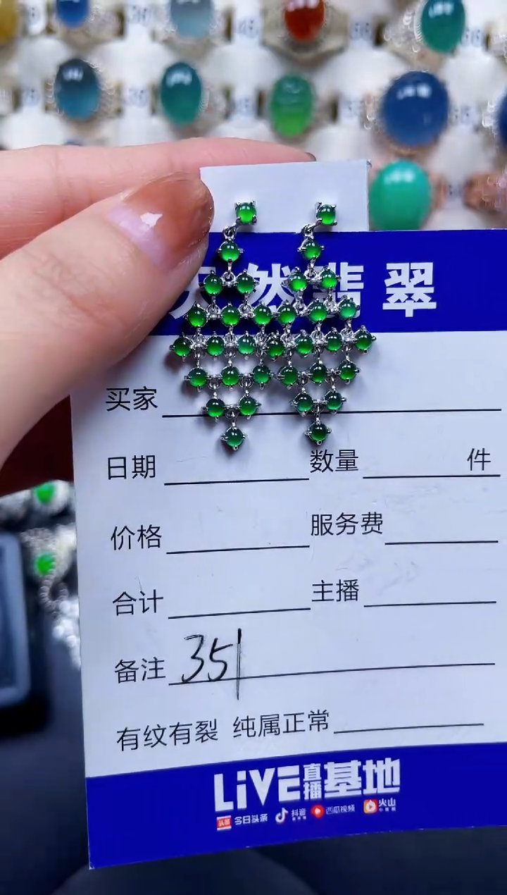 银S925镶嵌翡翠耳饰351