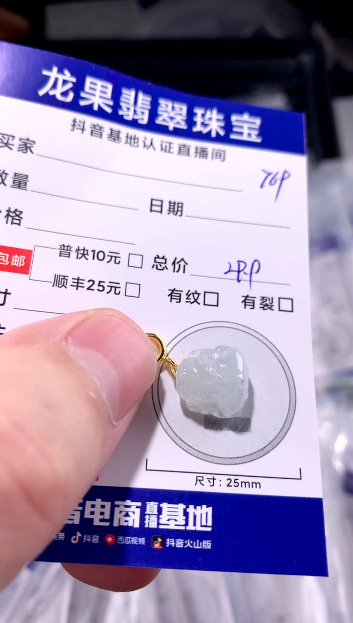 颈饰未镶嵌翡翠貔貅769