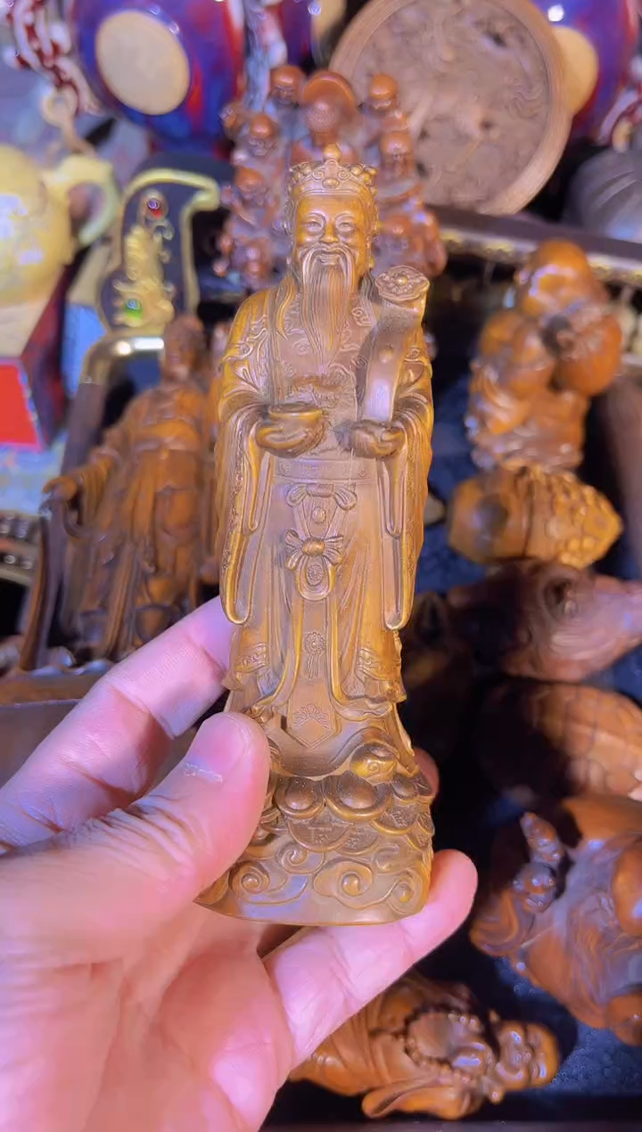 黄杨木1111111111111111111