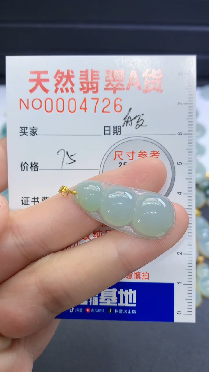 【闪购商品】翡翠颈饰未镶嵌翡翠