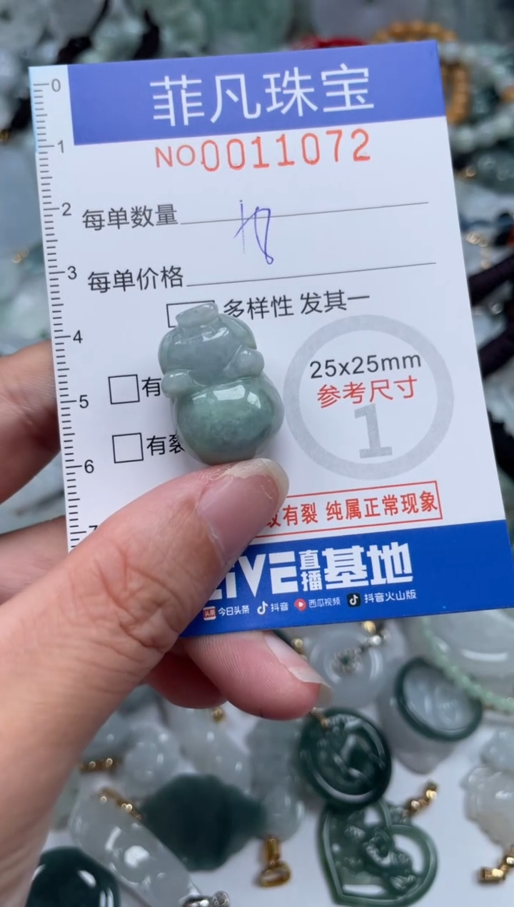 颈饰未镶嵌翡翠11072